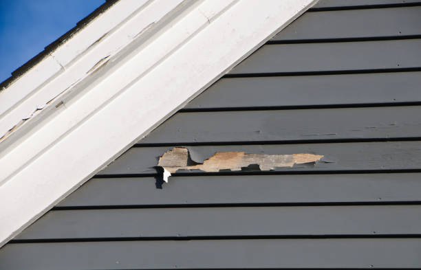 Demolition Debris Removal in Rutherford, TN